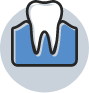 Tooth within the gums icon