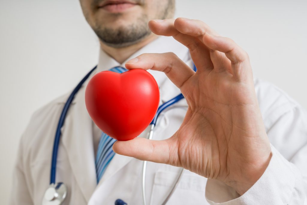 Doctor holding a heart